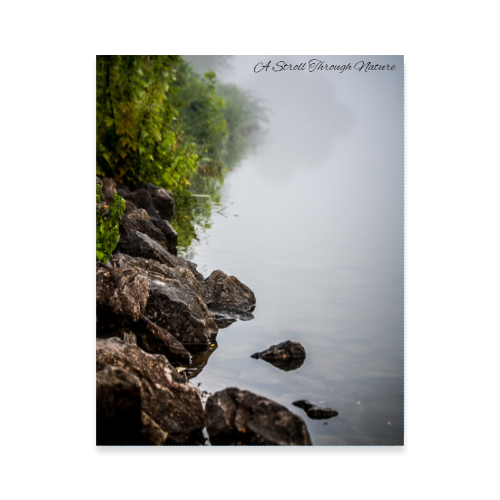 Riverbank Photo Poster 11x14