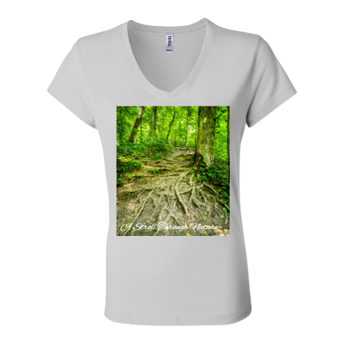 The Well Travelled Path Women's Jersey Short Sleeve V-Neck Tee - Bella+Canvas