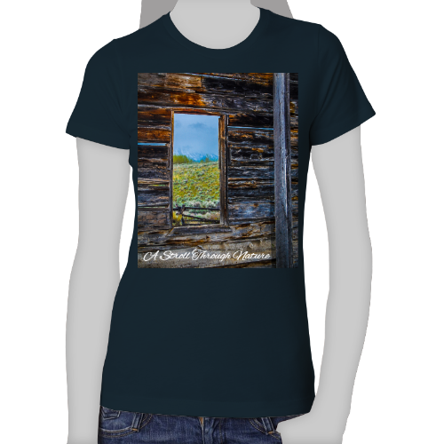 The Window to Nature Women's The Boyfriend Tee - Next Level