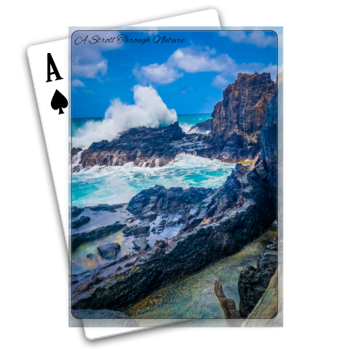 Hawaiian Island Playing Cards