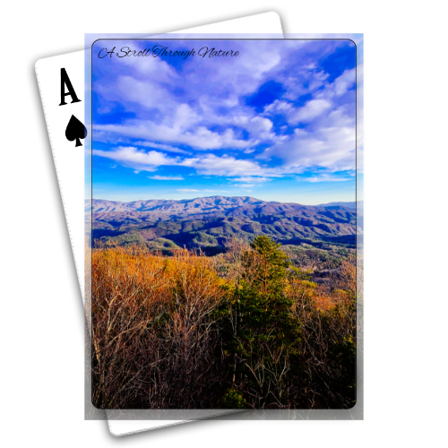 Tennessee Hills Playing Cards