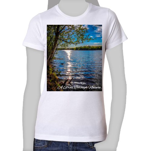 Alaskan Lake View Women's The Boyfriend Tee - Next Level