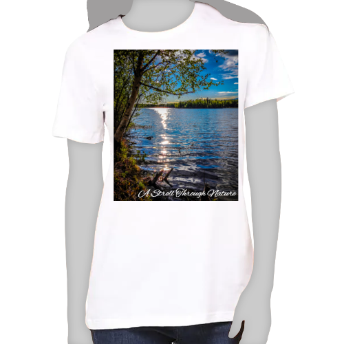 Alaskan Lake View Women's Favorite Tee - Bella+Canvas