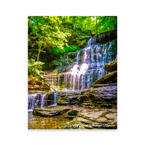 Tennessee Waterfall Photo Poster 11x14