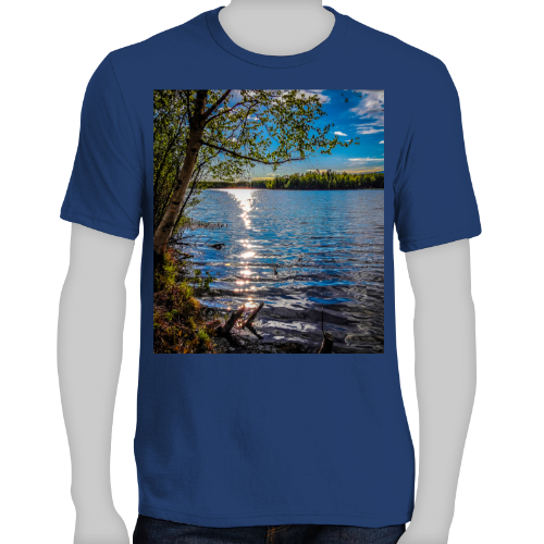 Alaskan Lake View Men's Very Important Tee - District