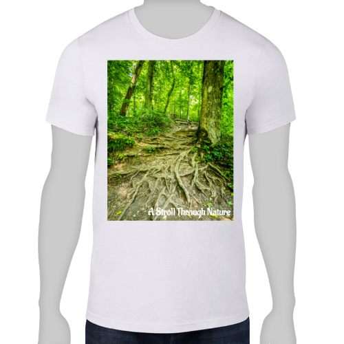 The Well Travelled Path Men's Lightweight Fashion Tee - Anvil