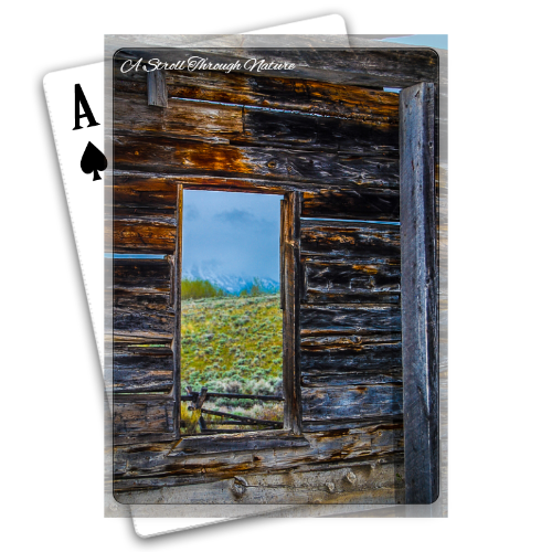 The Window to Nature Playing Cards