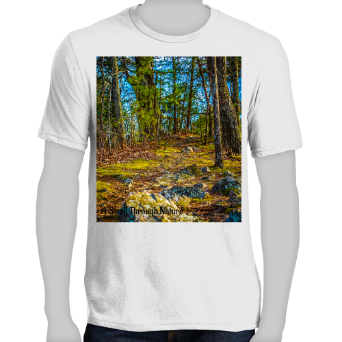 Rocky Footpath Men's Very Important Tee - District