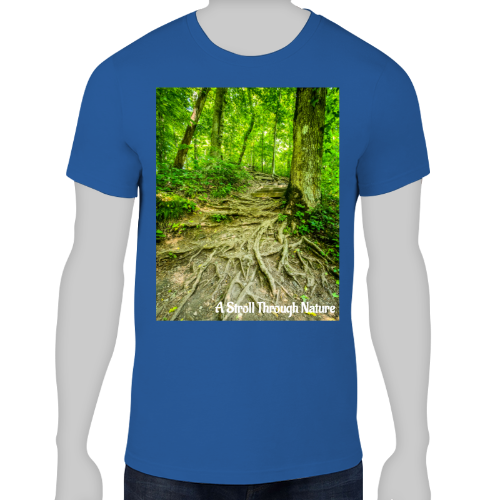 The Well Travelled Path Men's Lightweight Fashion Tee - Anvil