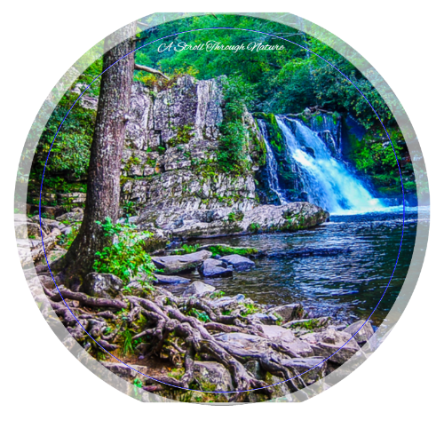 Tennessee Waterfall Mouse Pad