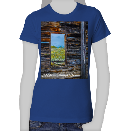 The Window to Nature Women's The Boyfriend Tee - Next Level