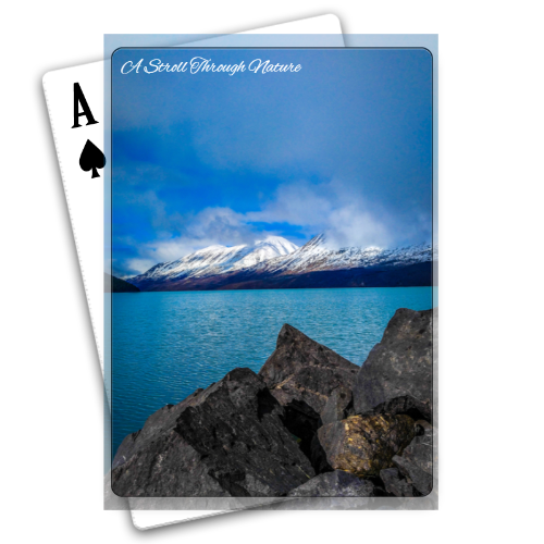 Alaskan Views Playing Cards