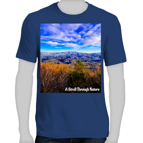 Tennessee Hills Men's Very Important Tee - District