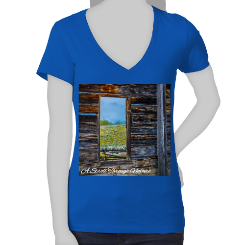 The Window to Nature Women's Jersey Short Sleeve Deep V-Neck Tee - Bella+Canvas