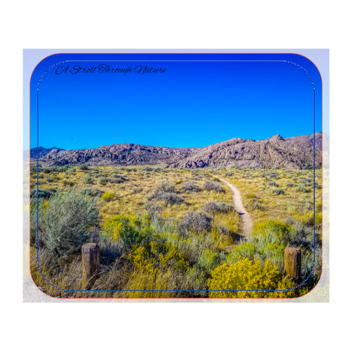 Wyoming Prairie Land Mouse Pad