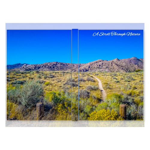 Wyoming Prairie Land Hardcover Journal Matte (75pg)