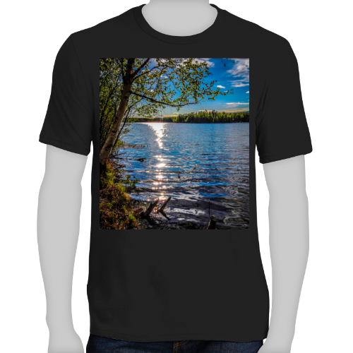 Alaskan Lake View Men's Very Important Tee - District