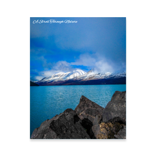 Alaskan Views Photo Poster 11x14