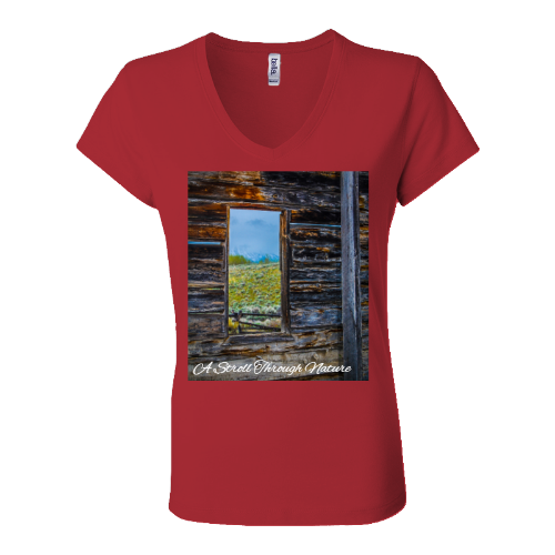 The Window to Nature Women's Jersey Short Sleeve V-Neck Tee - Bella+Canvas