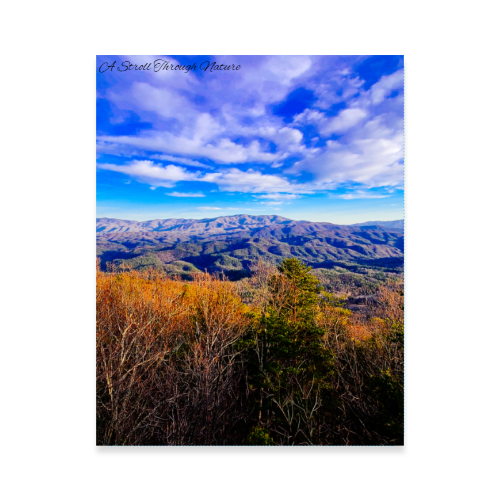 Tennessee Hills Photo Poster 11x14