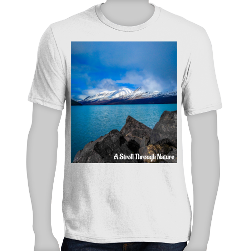 Alaskan View Men's Very Important Tee - District