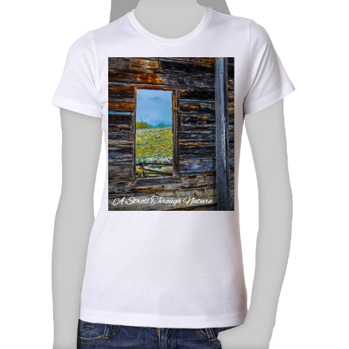 The Window to Nature Women's The Boyfriend Tee - Next Level