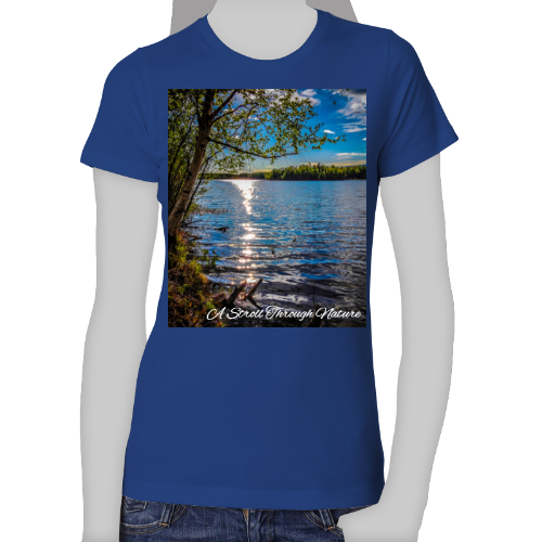 Alaskan Lake View Women's The Boyfriend Tee - Next Level