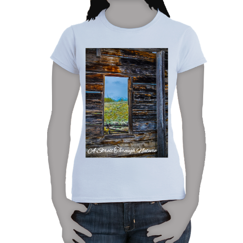 The Window to Nature Women's Softstyle Tee - Gildan