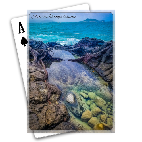 Hawaiian Island Playing Cards