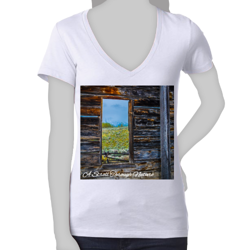 The Window to Nature Women's Jersey Short Sleeve Deep V-Neck Tee - Bella+Canvas