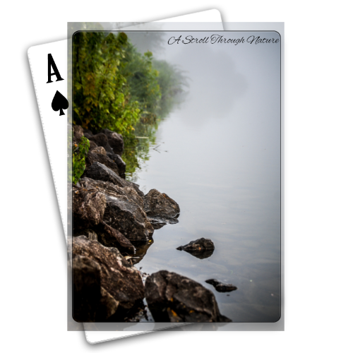 Riverbank Playing Cards