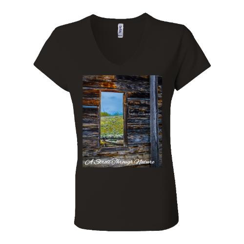 The Window to Nature Women's Jersey Short Sleeve V-Neck Tee - Bella+Canvas