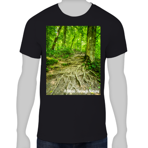 The Well Travelled Path Men's Lightweight Fashion Tee - Anvil