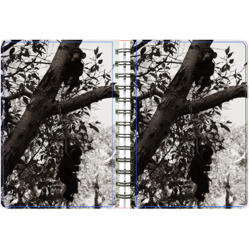 A Dark Aesthetic 5x7 Spiral bound Journal (75pg)