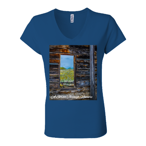 The Window to Nature Women's Jersey Short Sleeve V-Neck Tee - Bella+Canvas