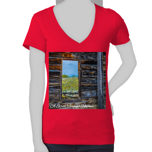 The Window to Nature Women's Jersey Short Sleeve Deep V-Neck Tee - Bella+Canvas