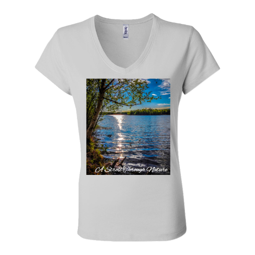 Alaskan Lake View Women's Jersey Short Sleeve V-Neck Tee - Bella+Canvas