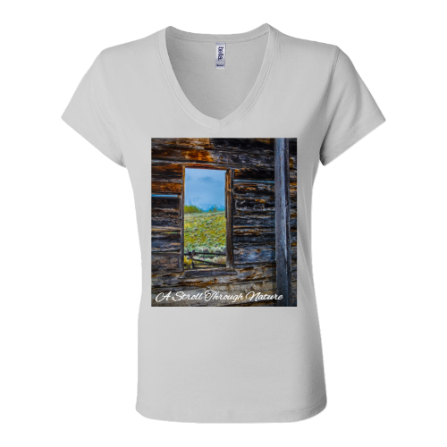 The Window to Nature Women's Jersey Short Sleeve V-Neck Tee - Bella+Canvas