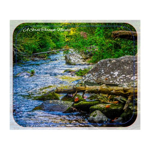 Creek Views Mouse Pad