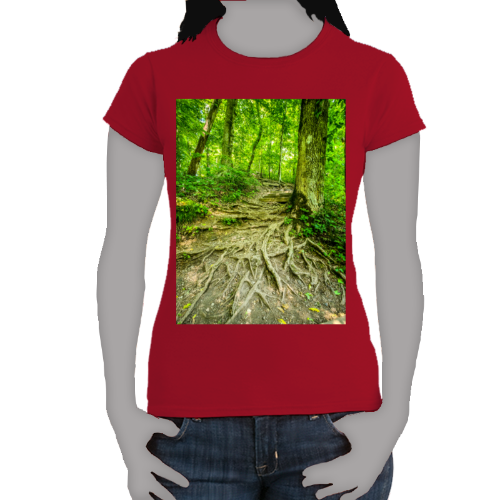 The Well Travelled Path Women's Softstyle Tee - Gildan