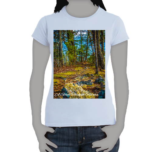 A Rocky Footpath Women's Softstyle Tee - Gildan