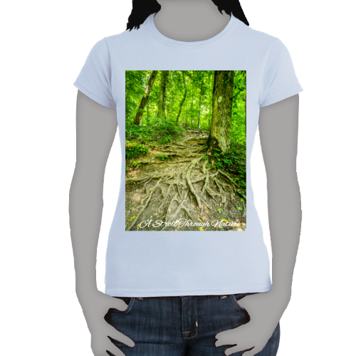 The Well Travelled Path Women's Softstyle Tee - Gildan