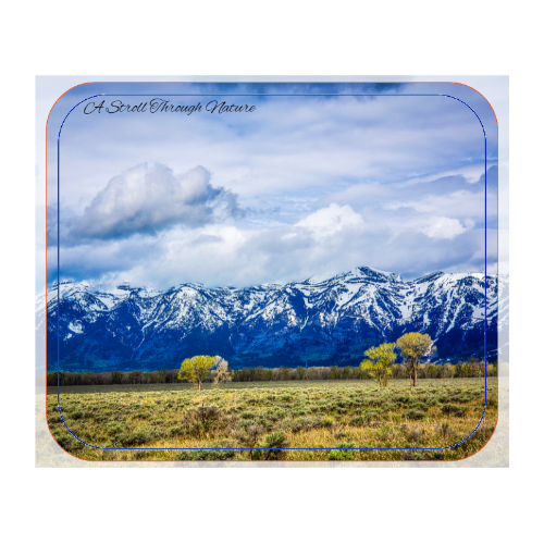 Wyoming Mountain Mouse Pad