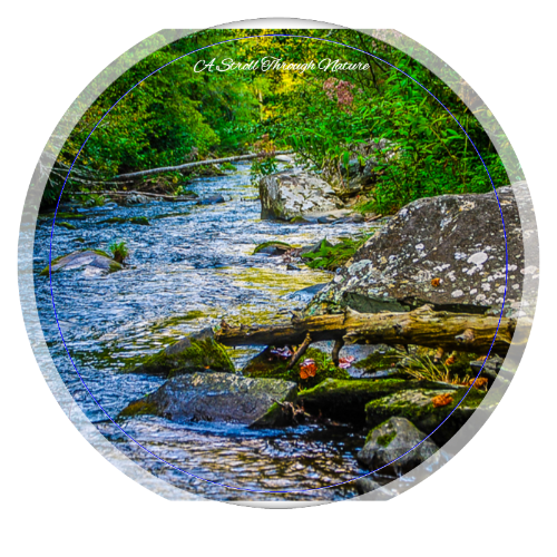 Tennessee Creek Mouse Pad