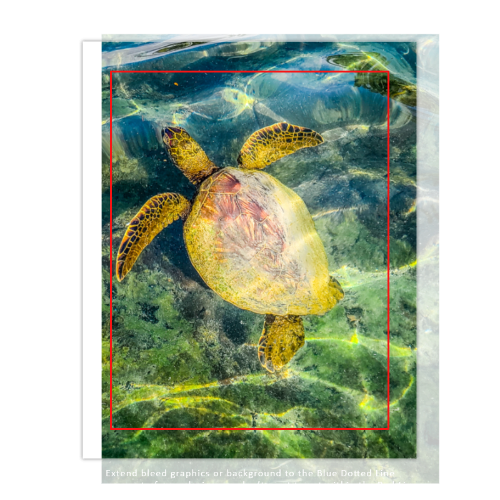 Turtle Canvas 8x10 - Vertical