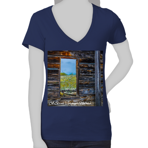 The Window to Nature Women's Jersey Short Sleeve Deep V-Neck Tee - Bella+Canvas