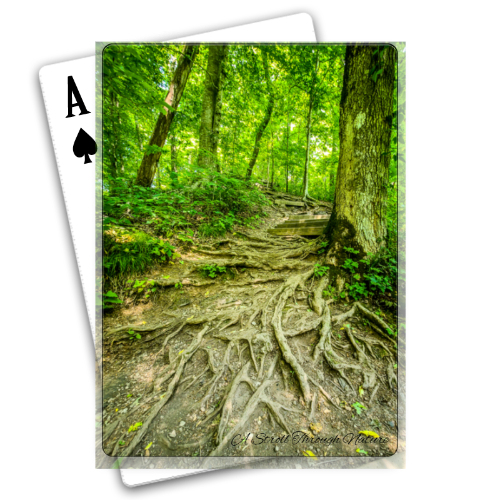 The Well Travelled Path Playing Cards