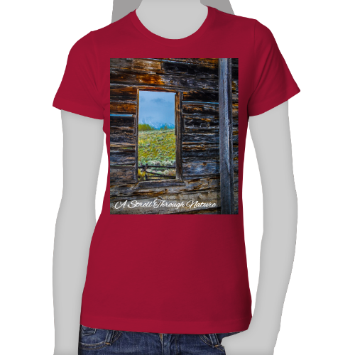 The Window to Nature Women's The Boyfriend Tee - Next Level