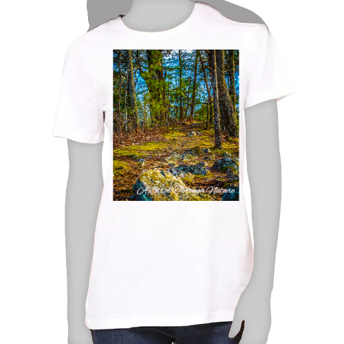 A Rocky Footpath Women's Favorite Tee - Bella+Canvas