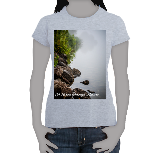 Riverbank Women's Softstyle Tee - Gildan